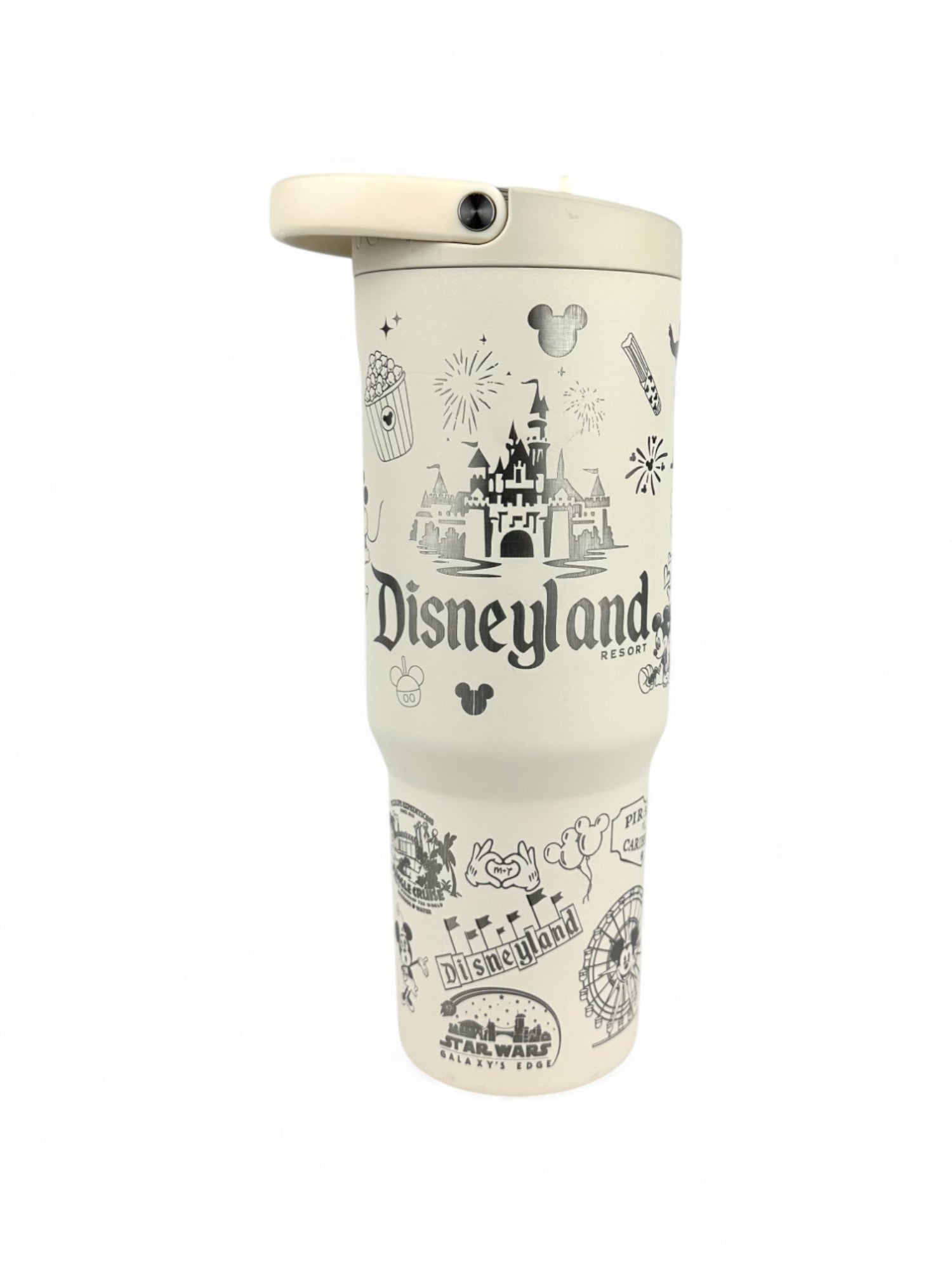 DisneyLand Resort Hydrojug Sport 32 oz