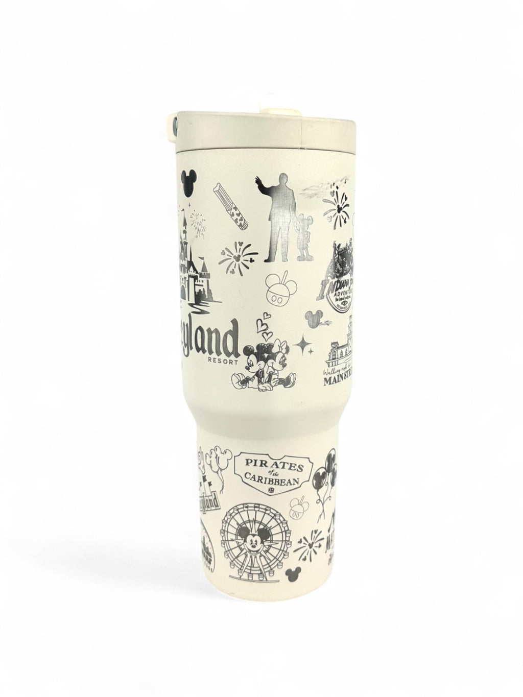 DisneyLand Resort Hydrojug Sport 32 oz