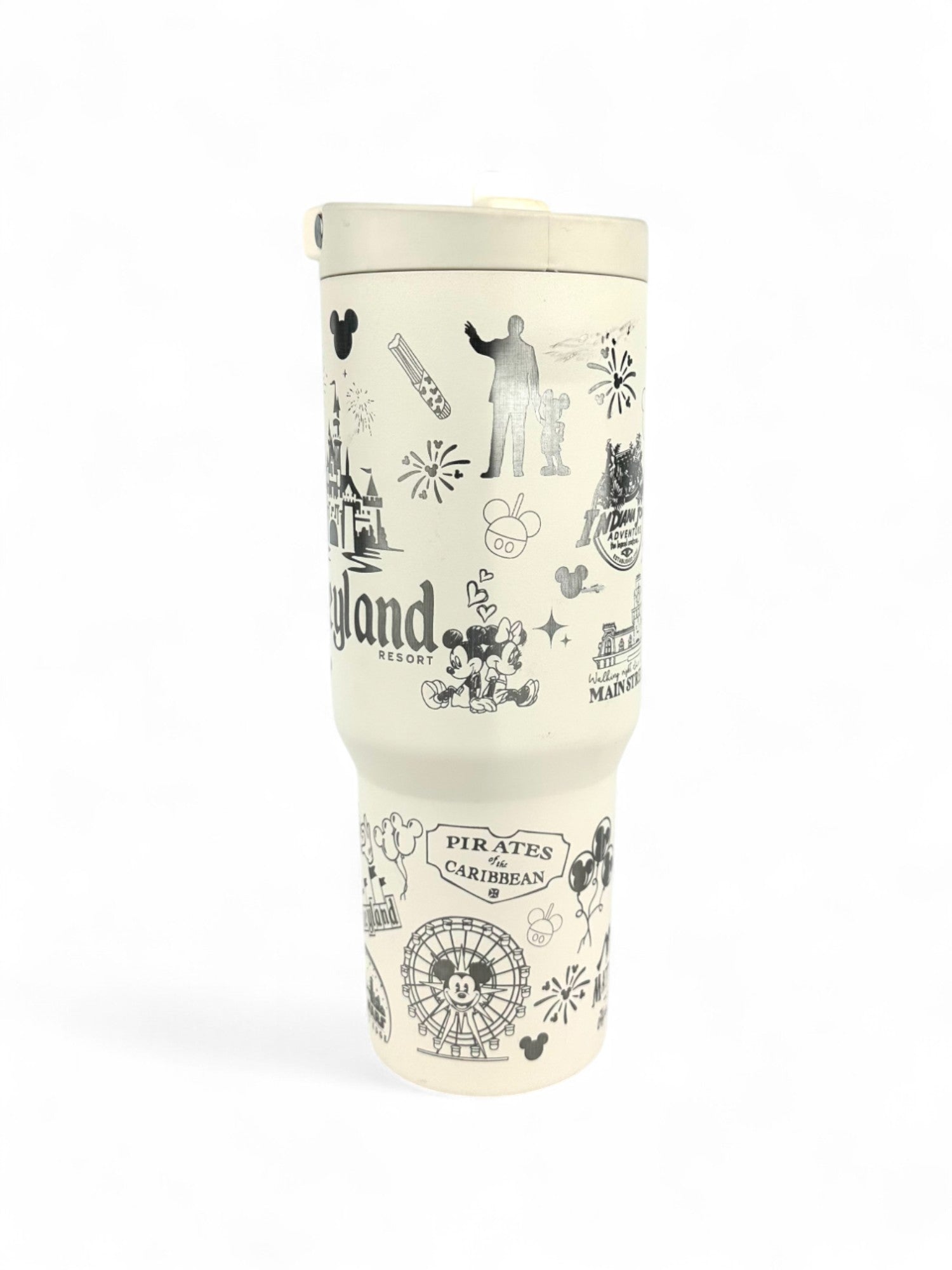 DisneyLand Resort Hydrojug Sport 32 oz