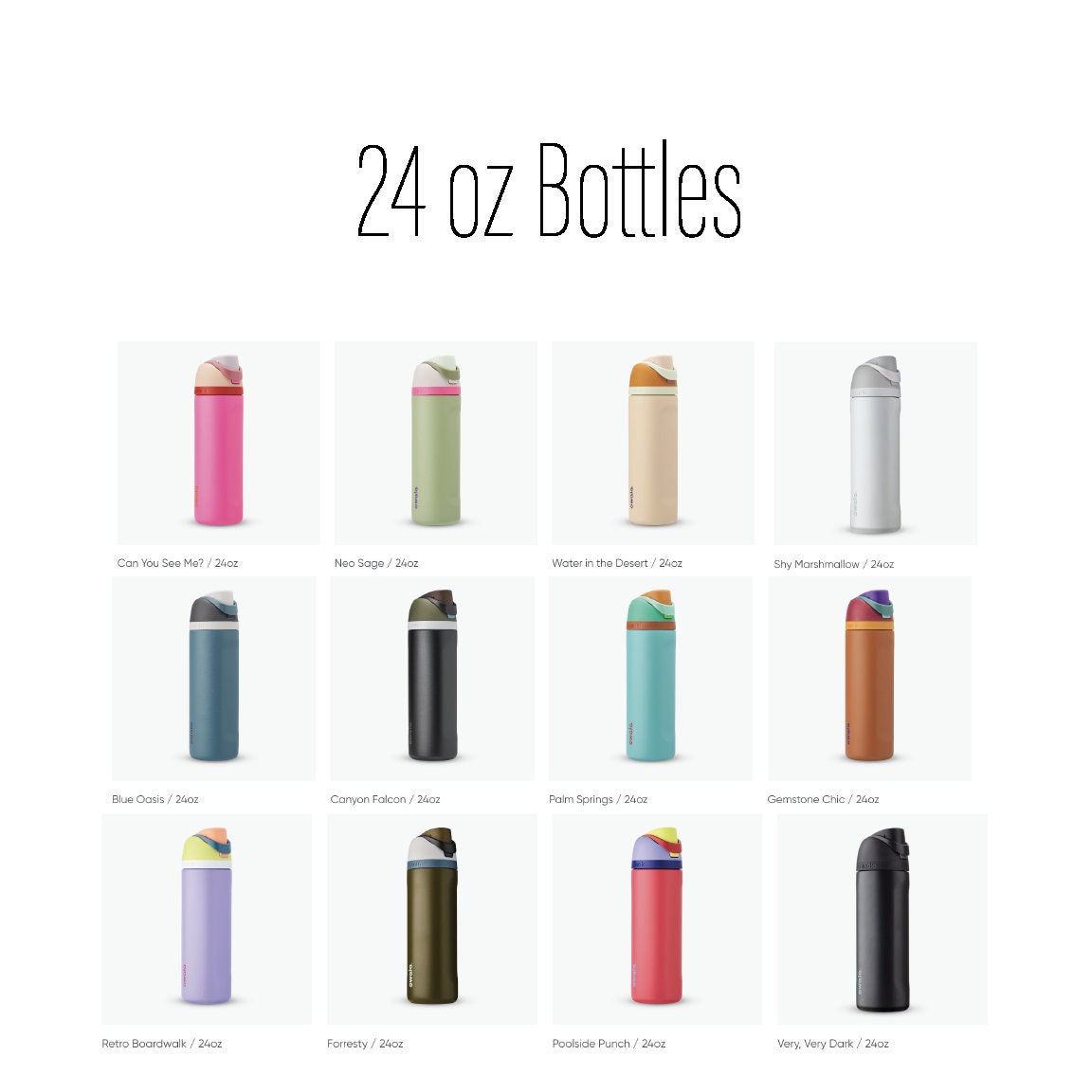 Daisy Duck Owala Engravings Disney Custom Engraved Water Bottle Love Disney Gift Idea For Daisy Lovers Leak Proof Tumbler Engraved Gift