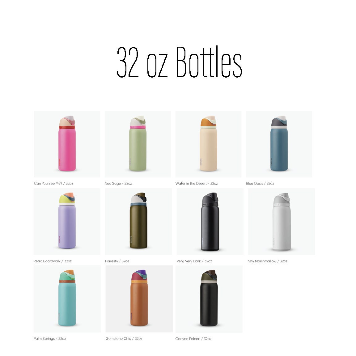 Daisy Duck Owala Engravings Disney Custom Engraved Water Bottle Love Disney Gift Idea For Daisy Lovers Leak Proof Tumbler Engraved Gift